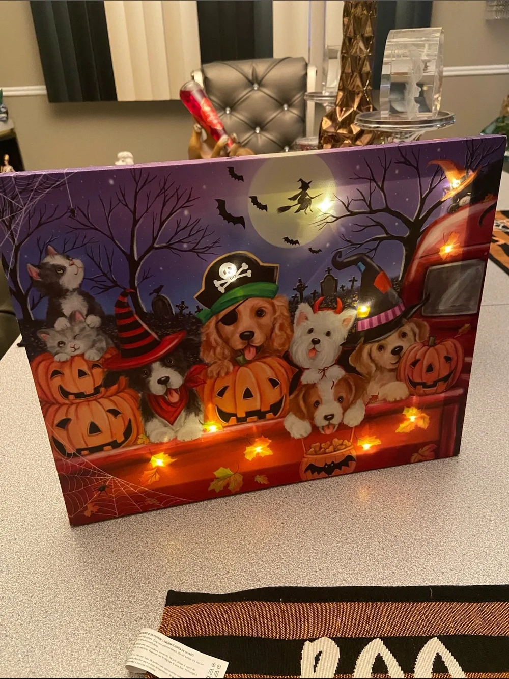 Halloween Pets Decorative Light-Up Canvas - Orange